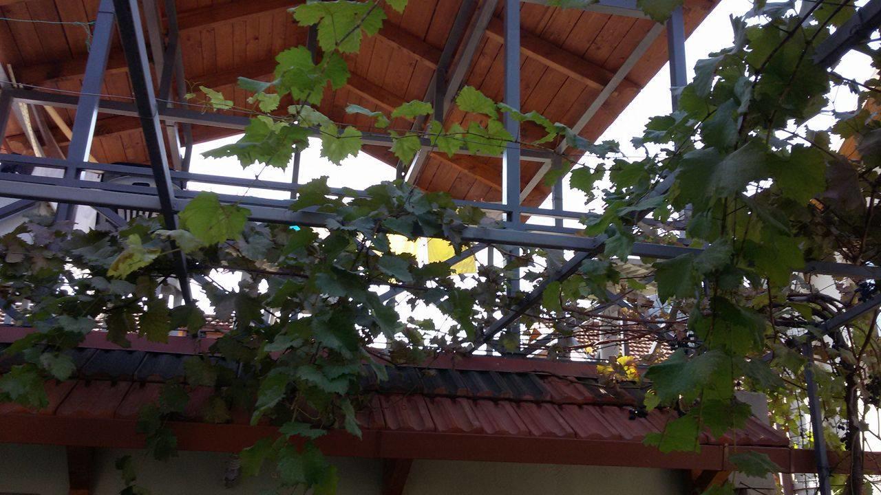 Guesthouse 26 Mtsʼkhetʼa 外观 照片